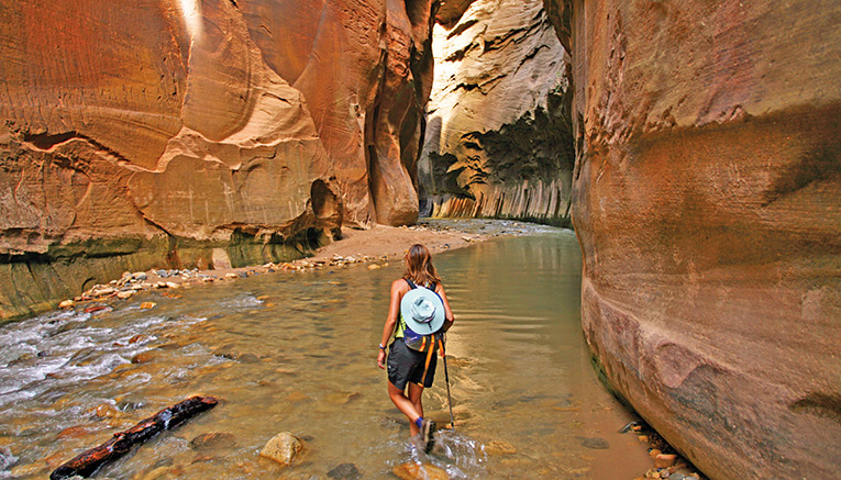 Wzbq-zion-bryce-walking-3